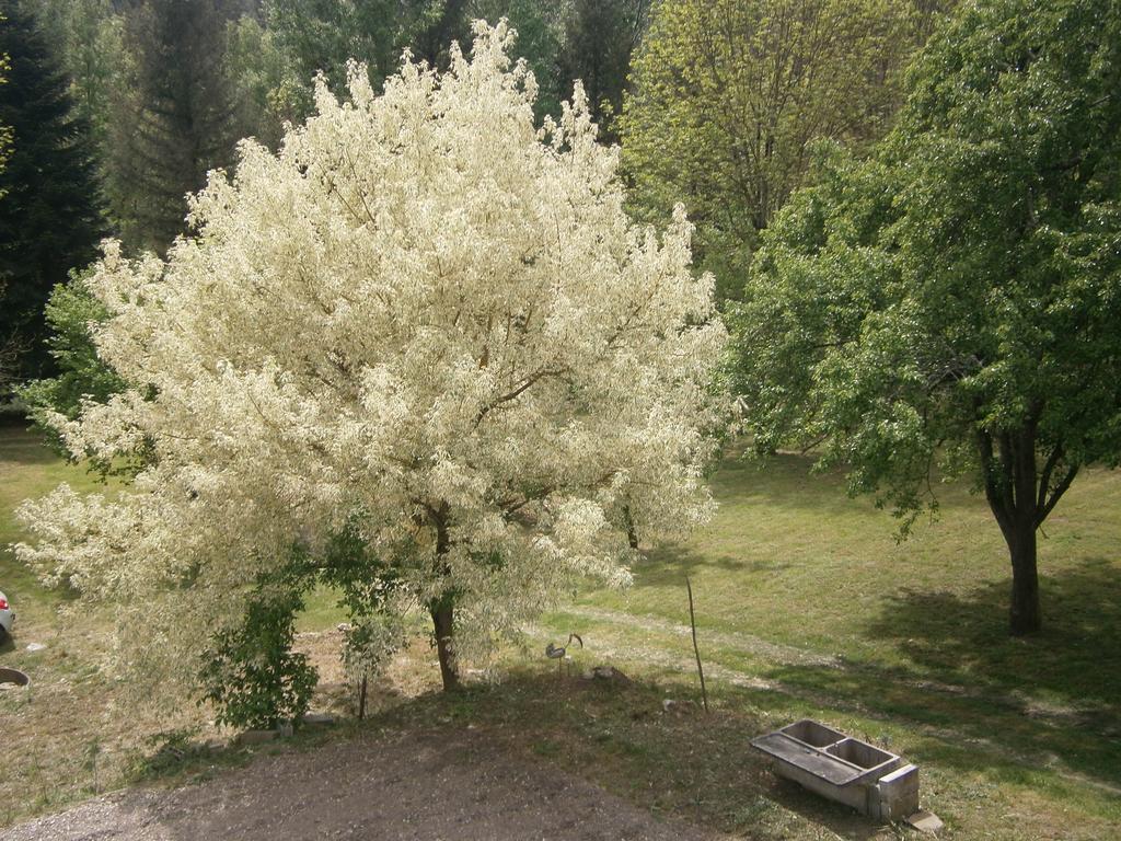 Saint-Michel-de-Dèze Gite Valescure מראה חיצוני תמונה