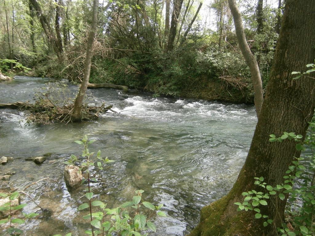 Saint-Michel-de-Dèze Gite Valescure מראה חיצוני תמונה